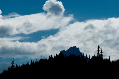 IMG_1446-Edit