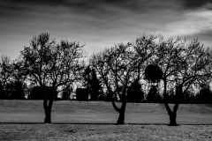 DSCF0115