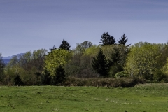 DSCF0118