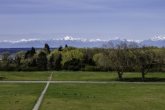 DSCF0132