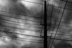 P1000526.00000000