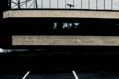 P1000529.00000000